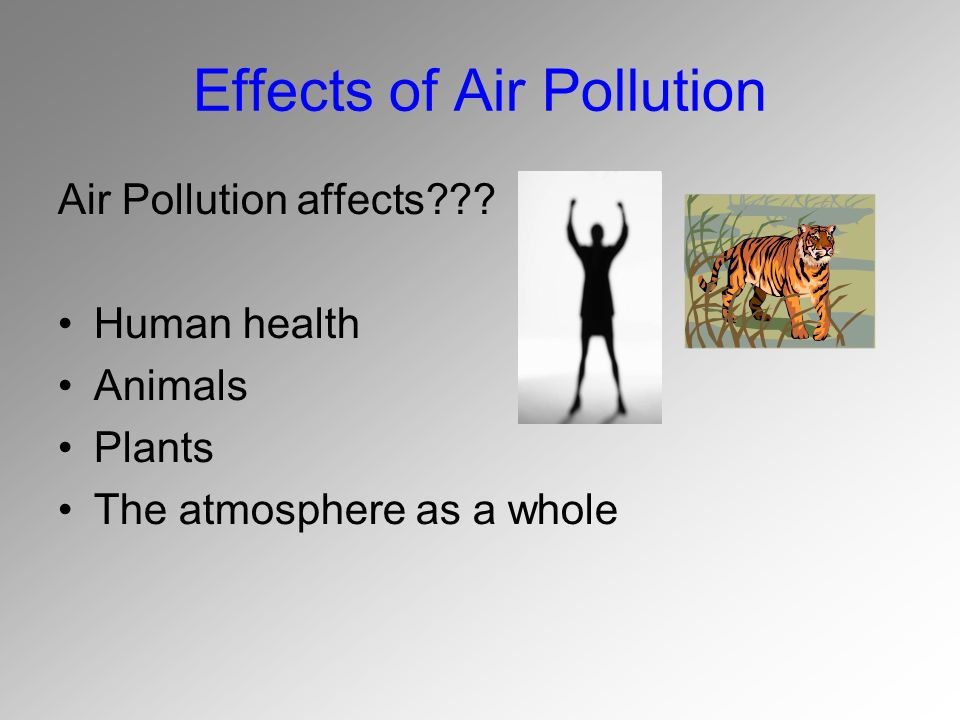 Smog pollution as a consequence of human behavior